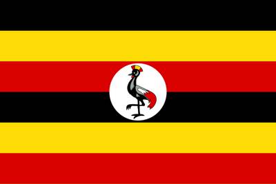 Gorille de montagne en Ouganda - Pays en O